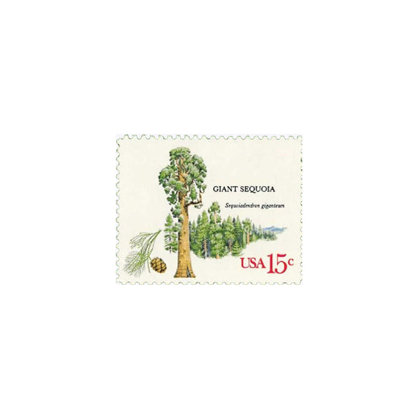Frogs Forever Postage Stamps - Celebrate Nature with these Colorful Stamps