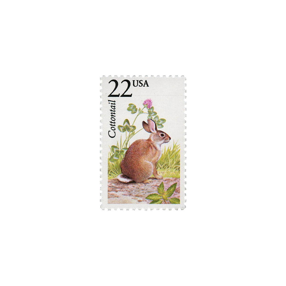 5 Cottontail Bunny Postage Stamps // UNUSED // 22 Cent // Rabbit // Ga ...