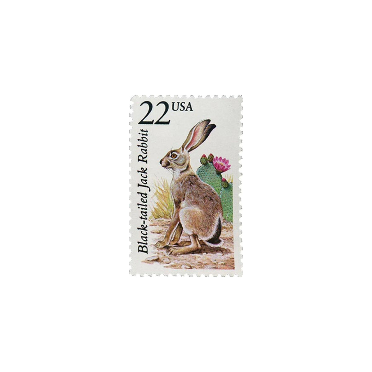 5 Black-tailed Jack Rabbit Postage Stamps // UNUSED // 22 Cent // Bunn ...